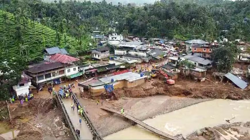 വയനാട് ദുരന്തം: മരിച്ചത് 231 പേർ, മേപ്പാടിയിലെ ആകെ നഷ്ടം 1200 കോടി; സര്‍ക്കാര്‍ ഹൈക്കോടതിയില്‍