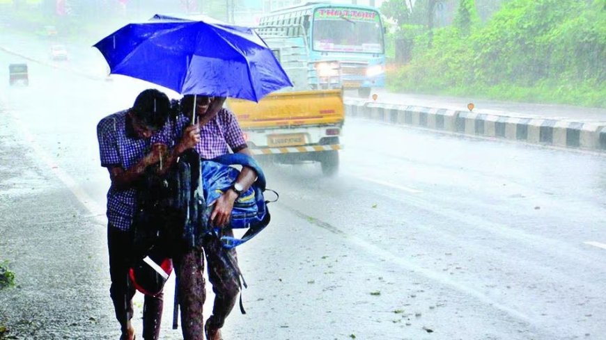 7 ജില്ലകളിൽ കനത്ത മഴക്കും ശക്തമായ കാറ്റിനും സാധ്യത; ജാഗ്രത